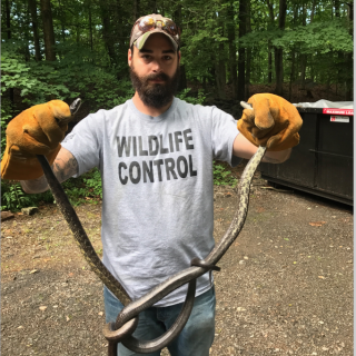 kristopherzulkeski_snake